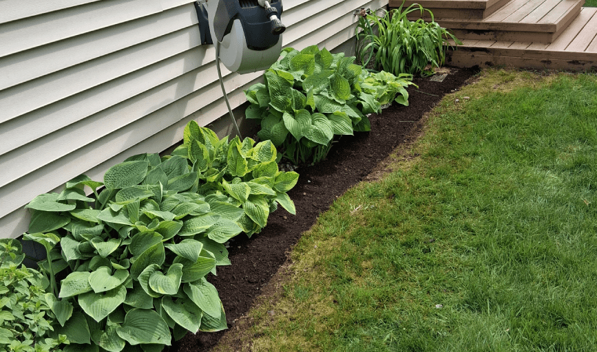SHRUB PLANTING